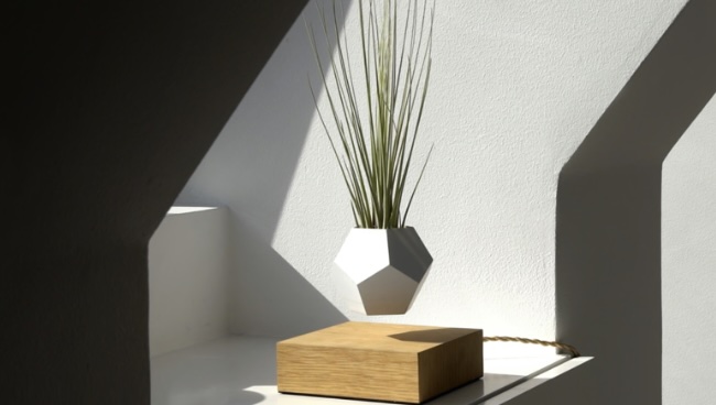 LYFE — Set Your Plants Free